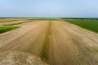 Aerial view of farmer cutting corn silage for cattle feed, Marion County, Illinois. Art Print